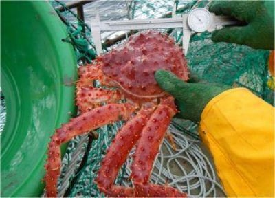 Medida de apoyo al sector pesquero reduce el arancel de pesca