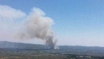 Bomberos combaten incendio forestal en Punilla