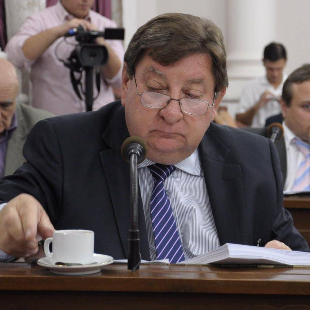 Kisser consider� que �es imprevisible� saber si habr� lista de consenso o internas en la UCR 