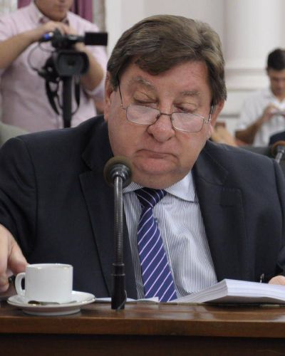 Kisser consider� que �es imprevisible� saber si habr� lista de consenso o internas en la UCR 