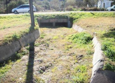 Realizan limpieza sobre la avenida Aguada de Pueyrred�n