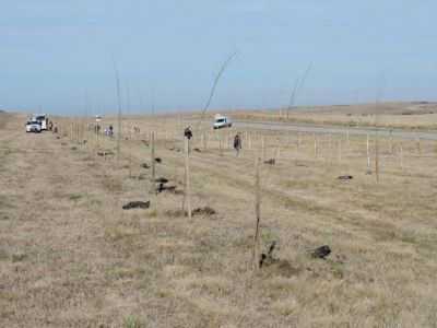 El Ministerio lanzar� este martes el proyecto �Camino a la conciencia ambiental�