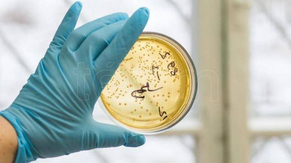 Los microbios resistentes a los medicamentos sern la primera causa de muerte en el mundo