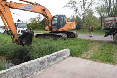 Trabajos de limpieza en el canal prolongaci�n Moreno