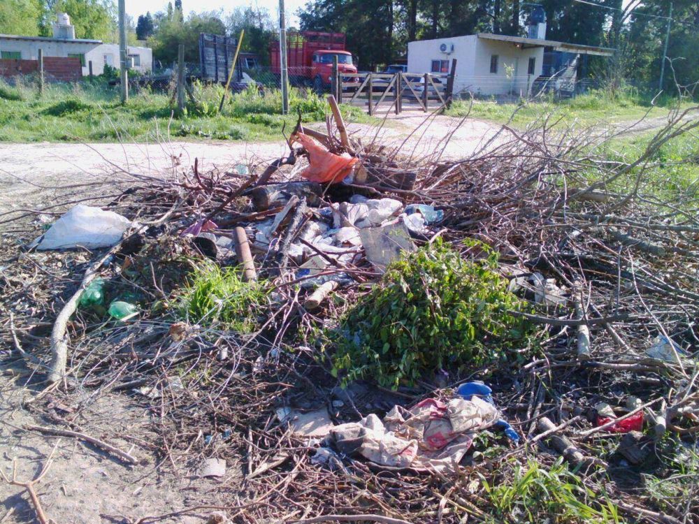 Formaci�n de basural en el Parque Lasa