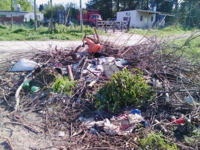 Formaci�n de basural en el Parque Lasa