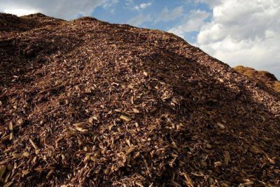 Aseguran que Misiones tiene m�s hect�reas forestadas para producir energ�a renovable por biomasa
