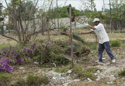 La basura complica la vida de los vecinos de Ciudad del Milagro