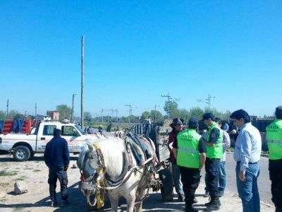 Primer operativo de Residuos S�lidos