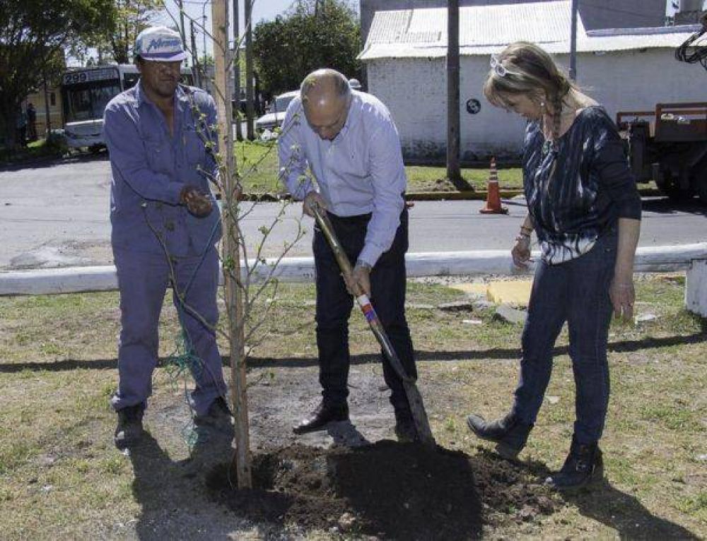 Lan�s: arranca un plan de forestaci�n