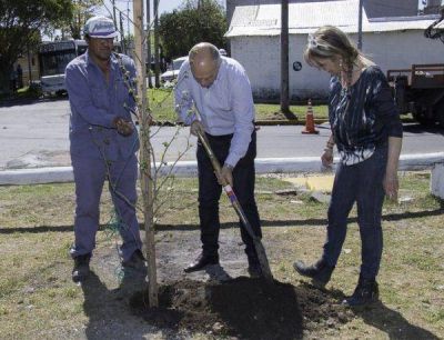 Lan�s: arranca un plan de forestaci�n