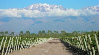 Inversiones comprometidas por U$S 2.400 millones para Mendoza