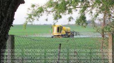 Agroqu�micos: cada vez m�s municipios de la Provincia buscan regular su uso