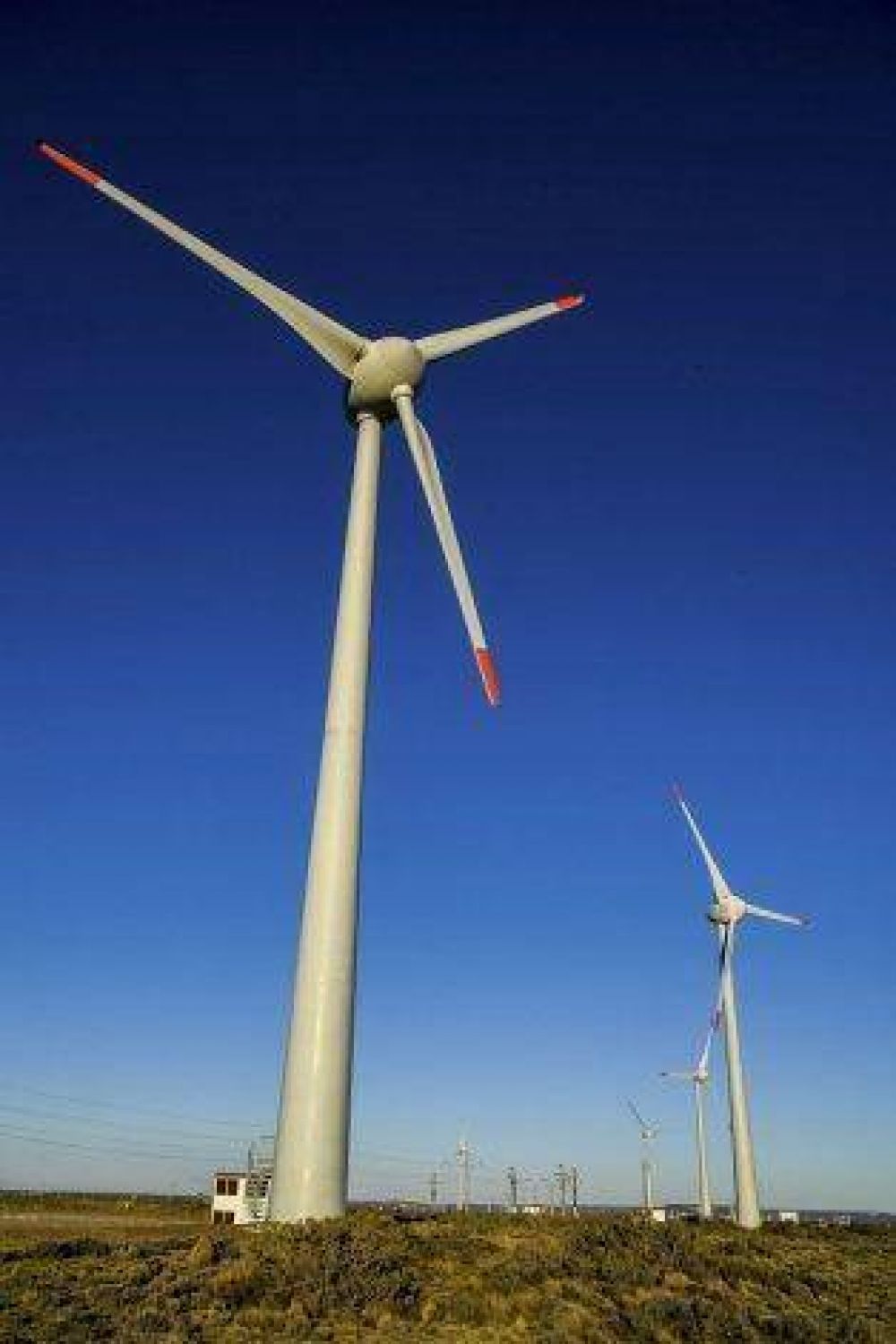Energ�a e�lica: ocho de los diez proyectos chubutenses calificaron para el plan nacional