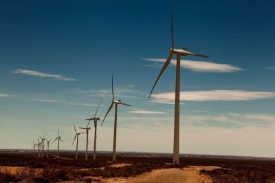 Piden informes por el fracaso de las energ�as renovables