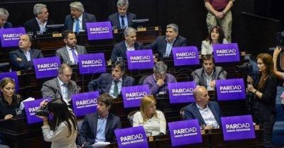 Diputados aprob� la ley de paridad de g�nero en las listas electorales