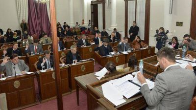 Senado aprob� la adhesi�n a la ley nacional de Salud Mental