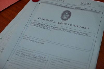 Diputados dio dictamen al proyecto de ley de iniciativa legislativa popular 
