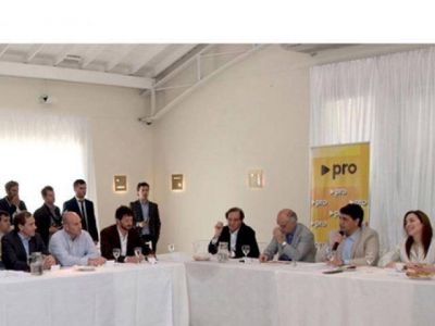 Molina conducir� al PRO quilme�o