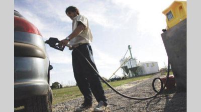 Biocombustibles: productores estiman volver a exportar 1.500.000 toneladas a la UE
