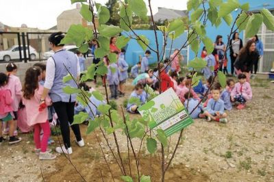 Rada Tilly trabaja sobre separaci�n de residuos con las escuelas