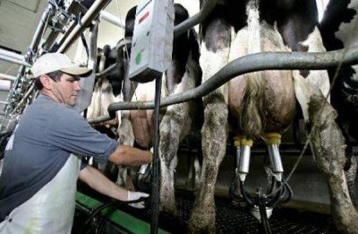 Por qu� La Pampa no adhiri� al subsidio lechero