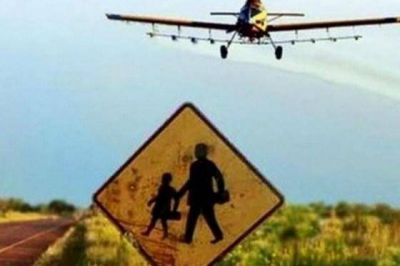 La Justicia de Bah�a Blanca prohibi� las fumigaciones con agrot�xicos alrededor de una escuela rural