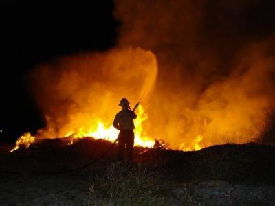 Anticipan complicada temporada de incendios forestales en la regi�n