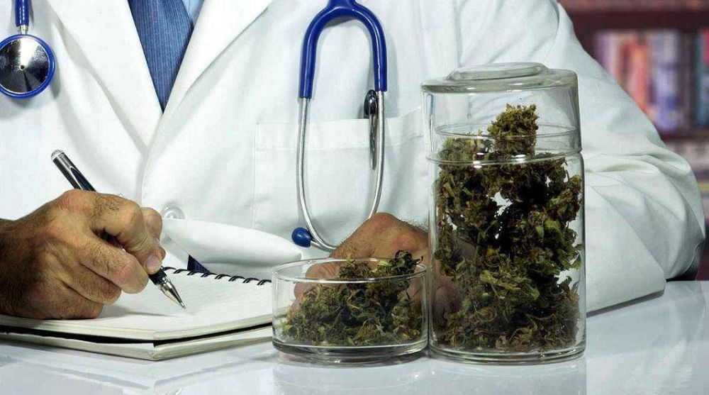 Cambiemos aceptara el uso de marihuana como medicina, pero quiere controlar el cultivo