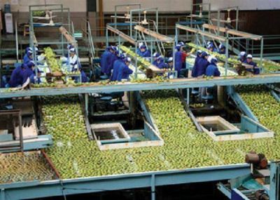 Exprofrut cerr� dos plantas y despide a 260 empleados. Hay recortes y m�s desempleo.