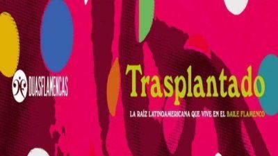 Trasplantado: la raz latinoamericana que vive en el baile flamenco