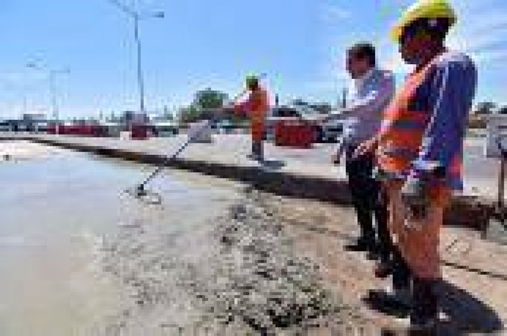 Garro en la bajada de la Autopista: 