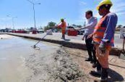 Garro en la bajada de la Autopista: 