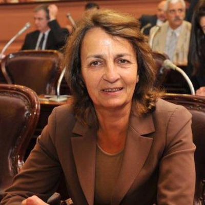 La diputada Angerosa anticip� su rechazo a la derogaci�n de la ley que proh�be la venta de madera a Uruguay 