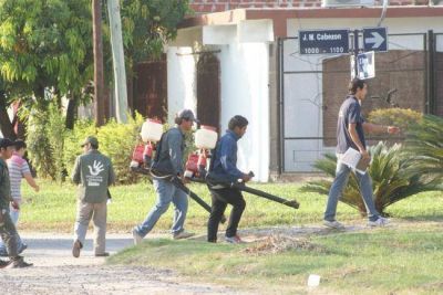 Dengue: sube la temperatura y aceleran acciones preventivas en capital e interior