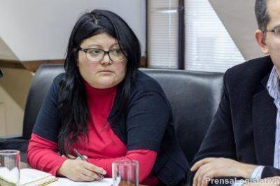 Buscan recuperar el rol de las cooperadoras escolares en la Provincia
