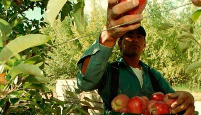 Mesa Sindical se declara en alerta por los despidos de los trabajadores de la fruta