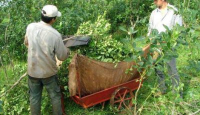 El INYM habilita lugares para actualizar datos de productores
