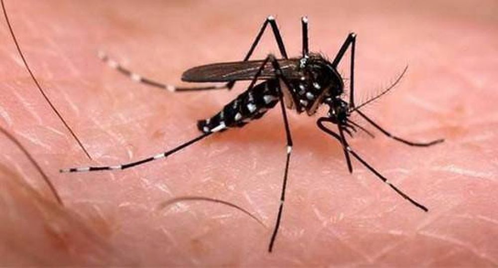 Realizan taller de prevencin de Dengue, Zika y Chikungunya