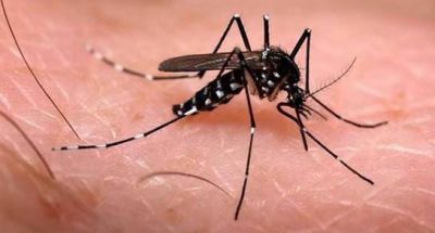 Realizan taller de prevenci�n de Dengue, Zika y Chikungunya