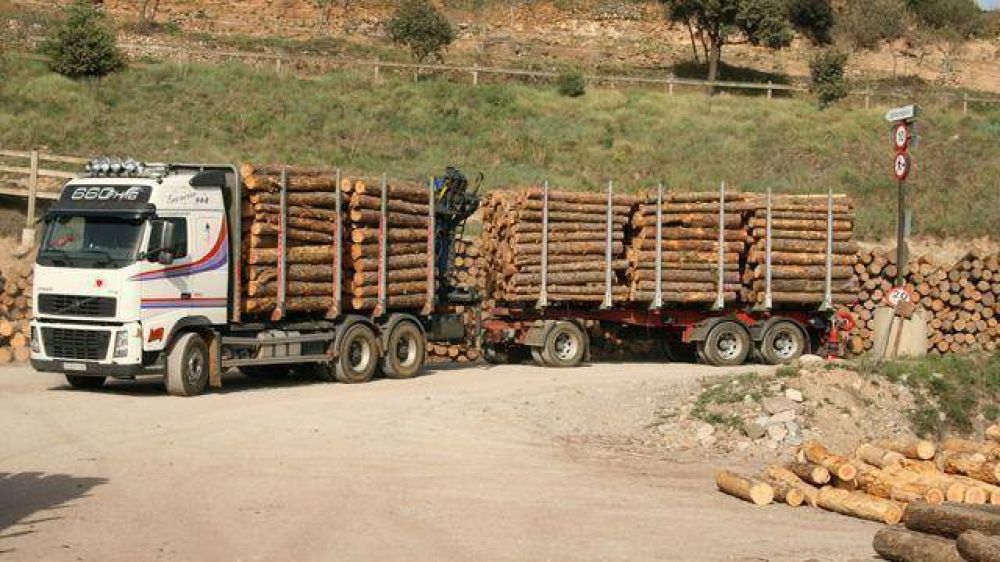 Schepens dijo que la reforma a la ley de la madera es para corregir el estancamiento del sector 