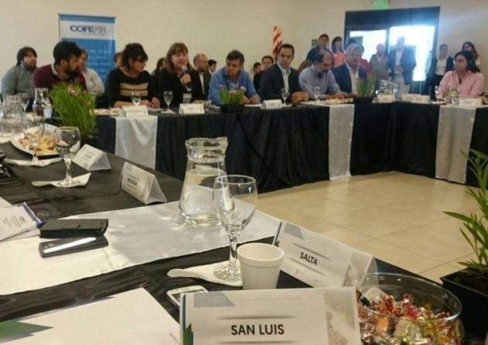 Con participacin de San Luis, el COFEMA debati en Chaco el presupuesto 2017 para los bosques nativos