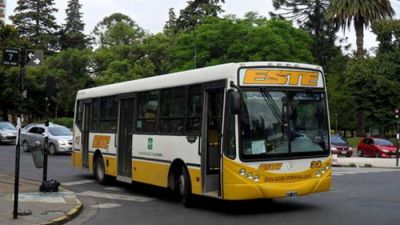 Contin�a el paro de transporte en La Plata