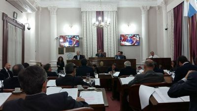 El Senado declar� su adhesi�n al paro de mujeres que tendr� lugar este mi�rcoles 