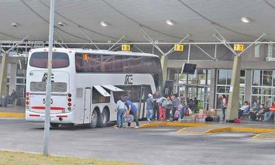 9 de cada 10 colectivos interprovinciales no cumplen la ley