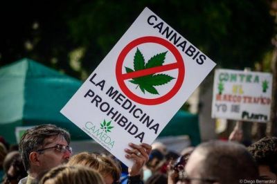 Buscan incorporar el cannabis medicinal al cat�logo bonaerense de tratamientos alternativos