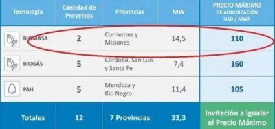 Biomasa: Empresa misionera se adjudic� un contrato para proveer energ�a renovable