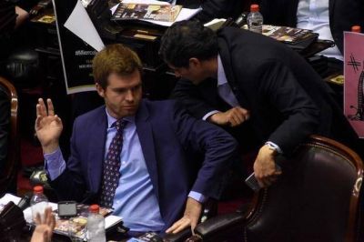 Diputados dio media sanci�n a la reforma pol�tica