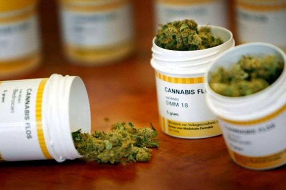 Legisladores comenzaron a debatir el uso medicinal de la marihuana