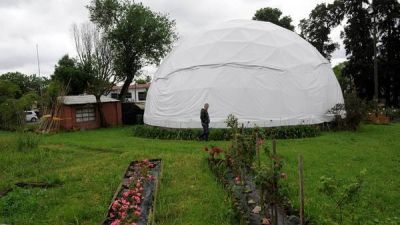 Arbolado porte�o: siembran 10 mil ejemplares para llevar a todos los barrios